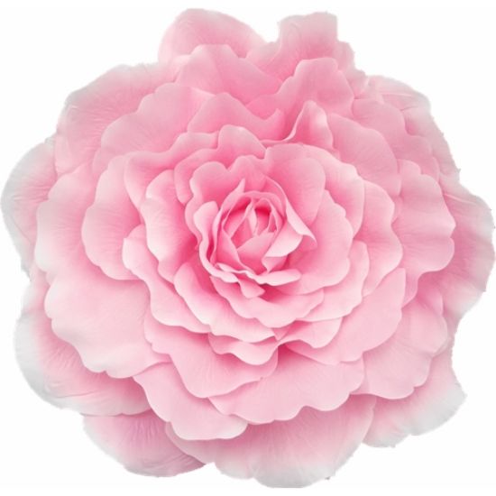 Picture of 70cm XXL GIANT SINGLE ROSE PINK