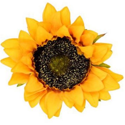 Picture of 10cm SUNFLOWER HEAD YELLOW x 12pcs