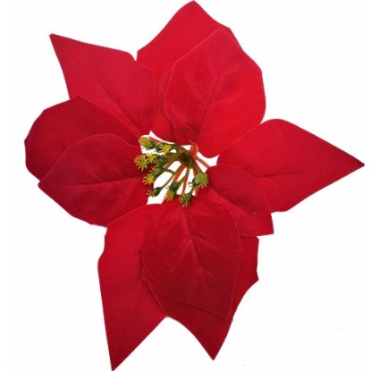 Picture of LARGE SINGLE POINSETTIA HEAD RICH RED X 50pcs