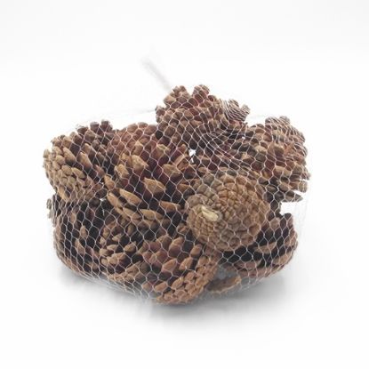 Picture of 4-6cm PINE CONES IN NET BAG NATURAL X 250g