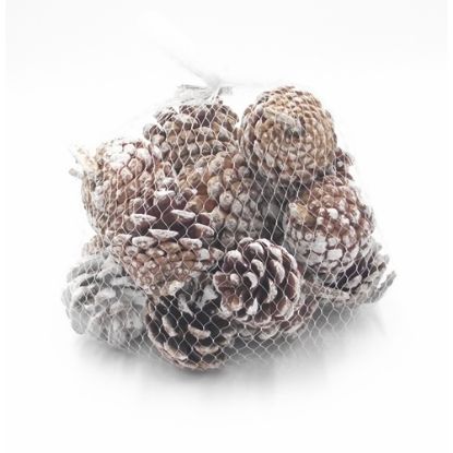 Picture of 4-6cm PINE CONES IN NET BAG NATURAL/SNOWY X 250g