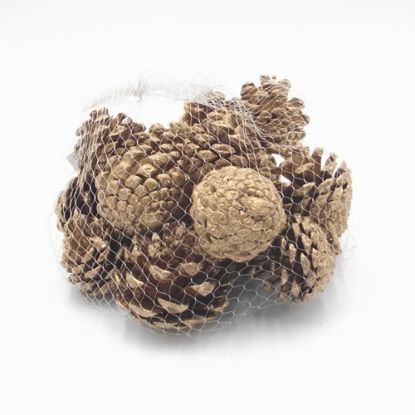 Picture of 4-6cm PINE CONES IN NET BAG GOLD X 250g
