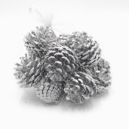 Picture of 4-6cm PINE CONES IN NET BAG SILVER X 250g