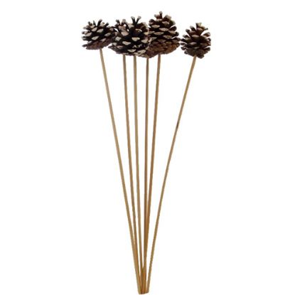 Picture of 4-6cm PINE CONE ON 50cm WOODEN STICK NATURAL/SNOWY x 6pcs