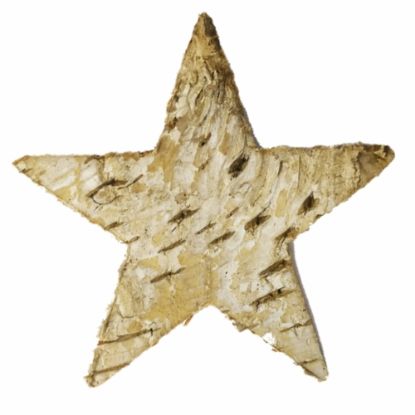 Picture of 6.5cm BIRCH STAR NATURAL X 60pcs