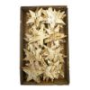 Picture of 6.5cm BIRCH STAR NATURAL X 60pcs
