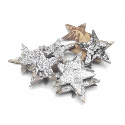 Picture of 5cm BIRCH STAR SILVER X 12pcs