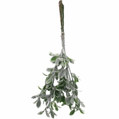 Picture of 55cm LARGE HANGING MISTLETOE BUNDLE (3 STEMS) WITH SNOW GREEN/WHITE