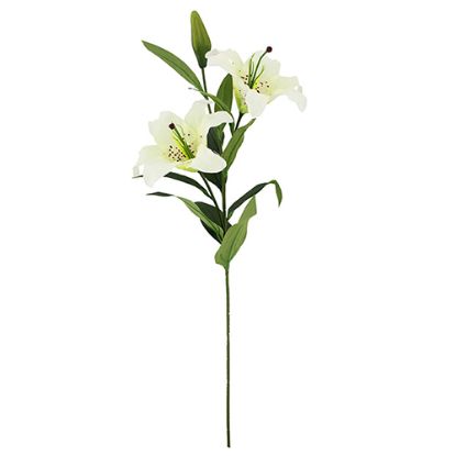 Picture of 86cm JAPANESE LILY SPRAY IVORY x 24pcs