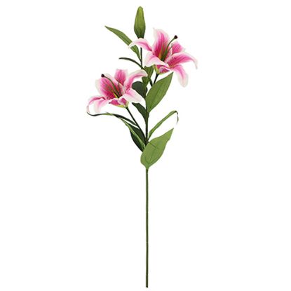 Picture of 86cm JAPANESE LILY SPRAY FUCHSIA x 24pcs