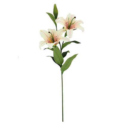 Picture of 86cm JAPANESE LILY SPRAY PINK/CREAM x 24pcs