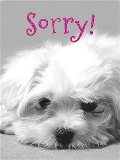 Picture of 10cm MINI GIFT CARD X 6pcs - SORRY DOG