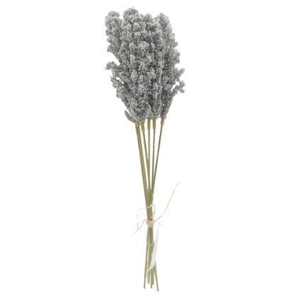 Picture of 32cm ASTILBE BUNDLE (6 STEMS) GREY