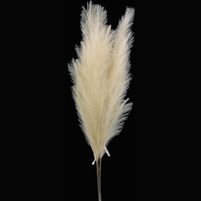 Picture of 115cm ARTIFICIAL PAMPAS GRASS (18 FORKS) CAPPUCCINO X 4pcs