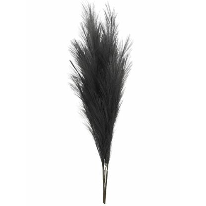 Picture of 115cm ARTIFICIAL PAMPAS GRASS (18 FORKS) DARK GREY X 4pcs