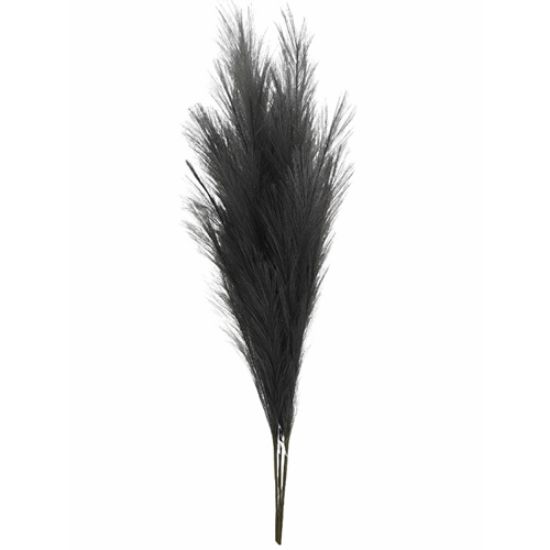 Picture of 115cm ARTIFICIAL PAMPAS GRASS (18 FORKS) DARK GREY X 4pcs