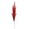 Picture of 115cm ARTIFICIAL PAMPAS GRASS (18 FORKS) RED X 4pcs