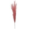 Picture of 115cm ARTIFICIAL PAMPAS GRASS (18 FORKS) PINK X 4pcs