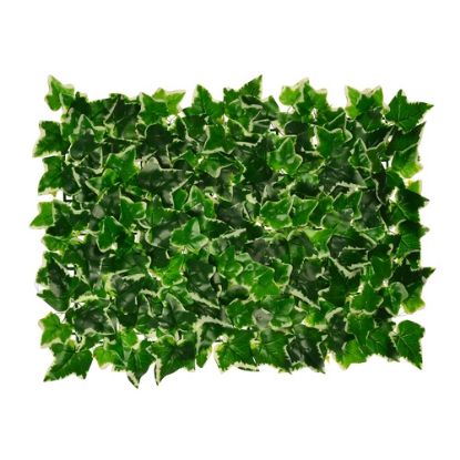 Picture of IVY WALL PANEL 60cm X 40cm VARIEGATED