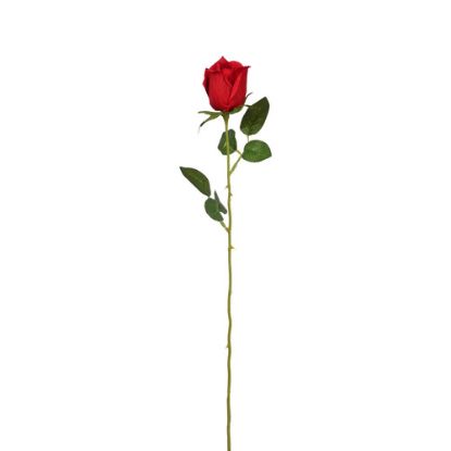 Picture of 55cm SINGLE ROSEBUD RED