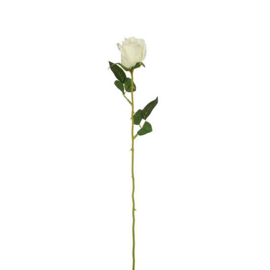 Picture of 52cm SINGLE ROSEBUD IVORY