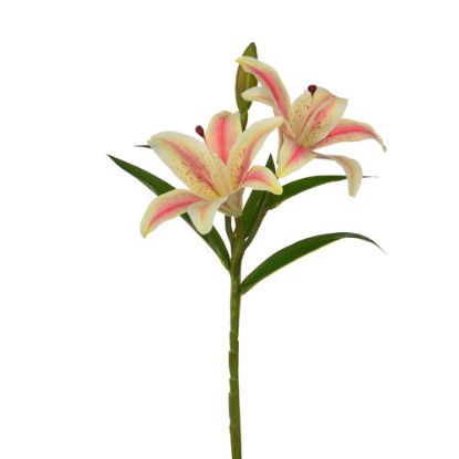 Picture of 38cm LILY SPRAY CREAM/PINK