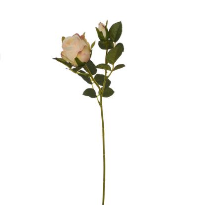 Picture of 36cm SWEET ROSE SPRAY IVORY