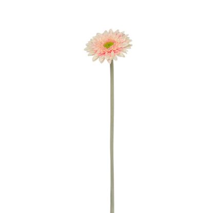 Picture of 36cm SPIKY GERBERA LIGHT PINK