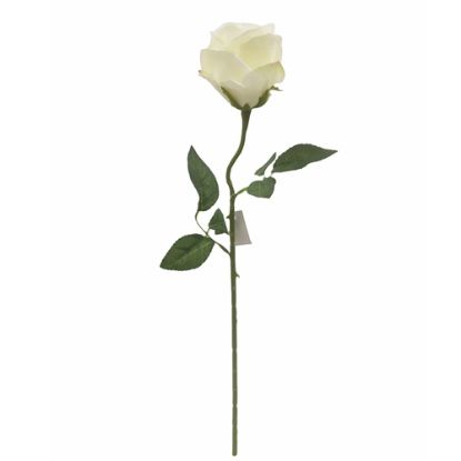 Picture of 52cm SINGLE OPEN ROSE IVORY