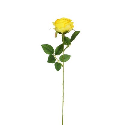Picture of 50cm SINGLE OPEN ROSE YELLOW