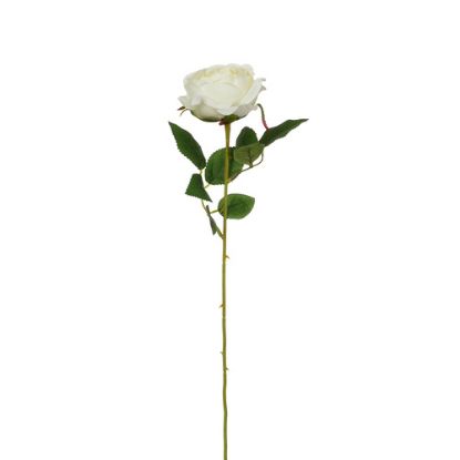Picture of 50cm SINGLE OPEN ROSE IVORY