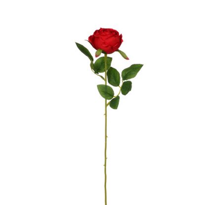 Picture of 50cm SINGLE OPEN ROSE RED