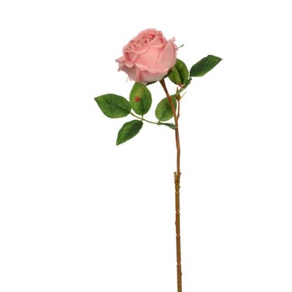 Picture of 50cm SINGLE GLOBE ROSE PINK