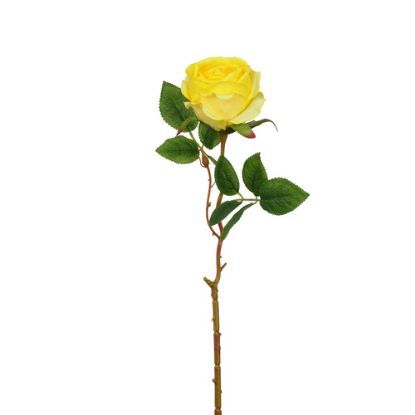 Picture of 50cm SINGLE GLOBE ROSE YELLOW