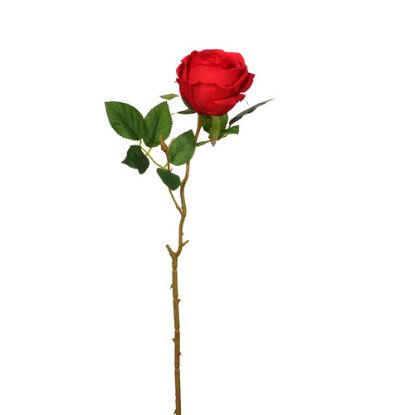 Picture of 50cm SINGLE GLOBE ROSE RED
