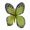 Picture of 8.5cm SINGLE BUTTERFLY GREEN X BAG OF 120pcs