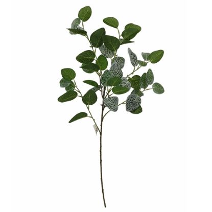 Picture of 70cm EUCALYPTUS SPRAY VARIEGATED