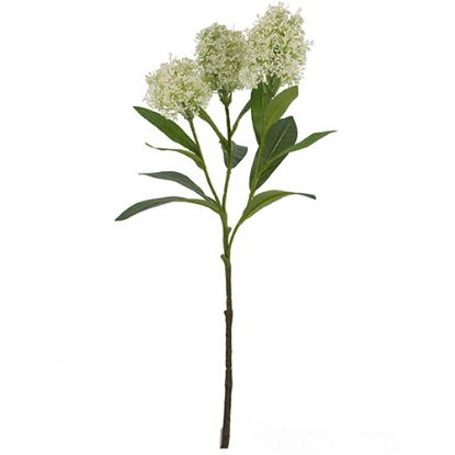 Picture of 58cm SKIMMIA (JAPONICA) SPRAY IVORY