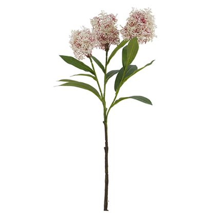Picture of 58cm SKIMMIA (JAPONICA) SPRAY WHITE/RED