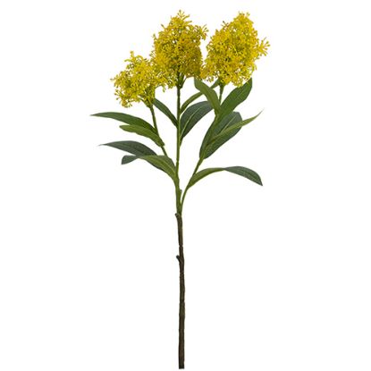 Picture of 58cm SKIMMIA (JAPONICA) SPRAY YELLOW