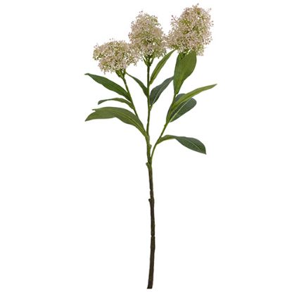 Picture of 58cm SKIMMIA (JAPONICA) SPRAY PINK/GREEN