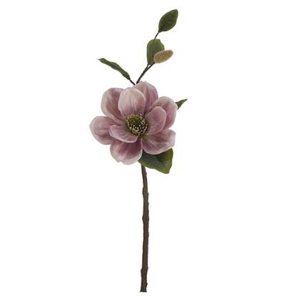 Picture of 46cm MAGNOLIA SPRAY DRY COLOUR PINK