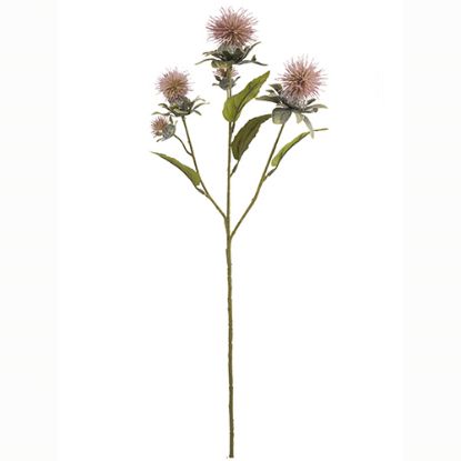 Picture of 57cm THISTLE SPRAY DRY COLOUR PINK