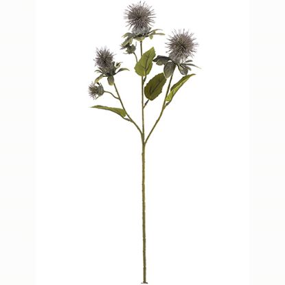 Picture of 57cm THISTLE SPRAY DRY COLOUR LILAC/PURPLE