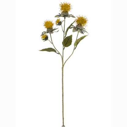 Picture of 57cm THISTLE SPRAY DRY COLOUR MUSTARD