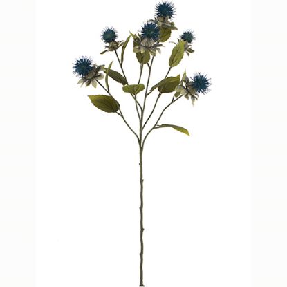 Picture of 57cm THISTLE SPRAY DRY COLOUR TEAL