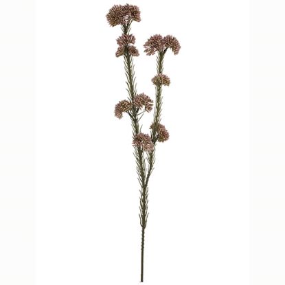 Picture of 57cm RICE FLOWER SPRAY DRY COLOUR BURGUNDY