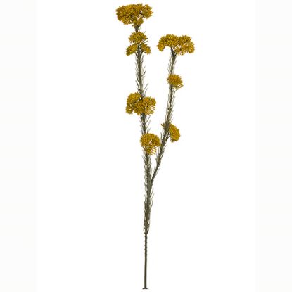 Picture of 57cm RICE FLOWER SPRAY DRY COLOUR MUSTARD