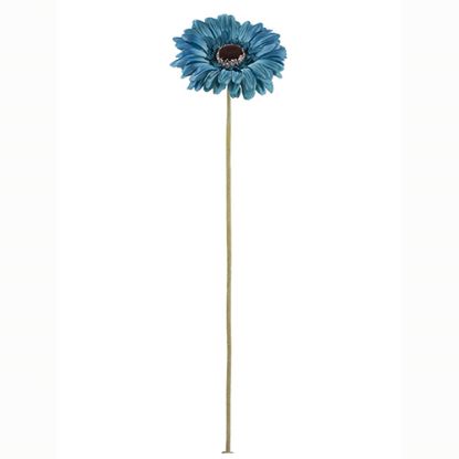 Picture of 53cm SINGLE GERBERA DRY COLOUR TEAL