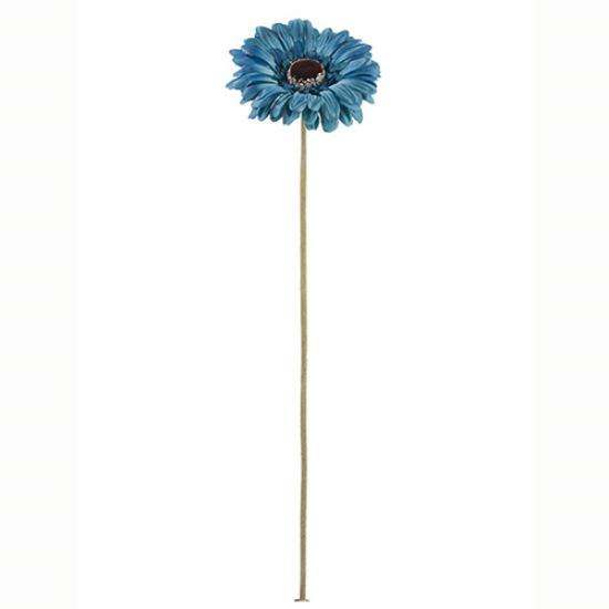 Picture of 53cm SINGLE GERBERA DRY COLOUR TEAL